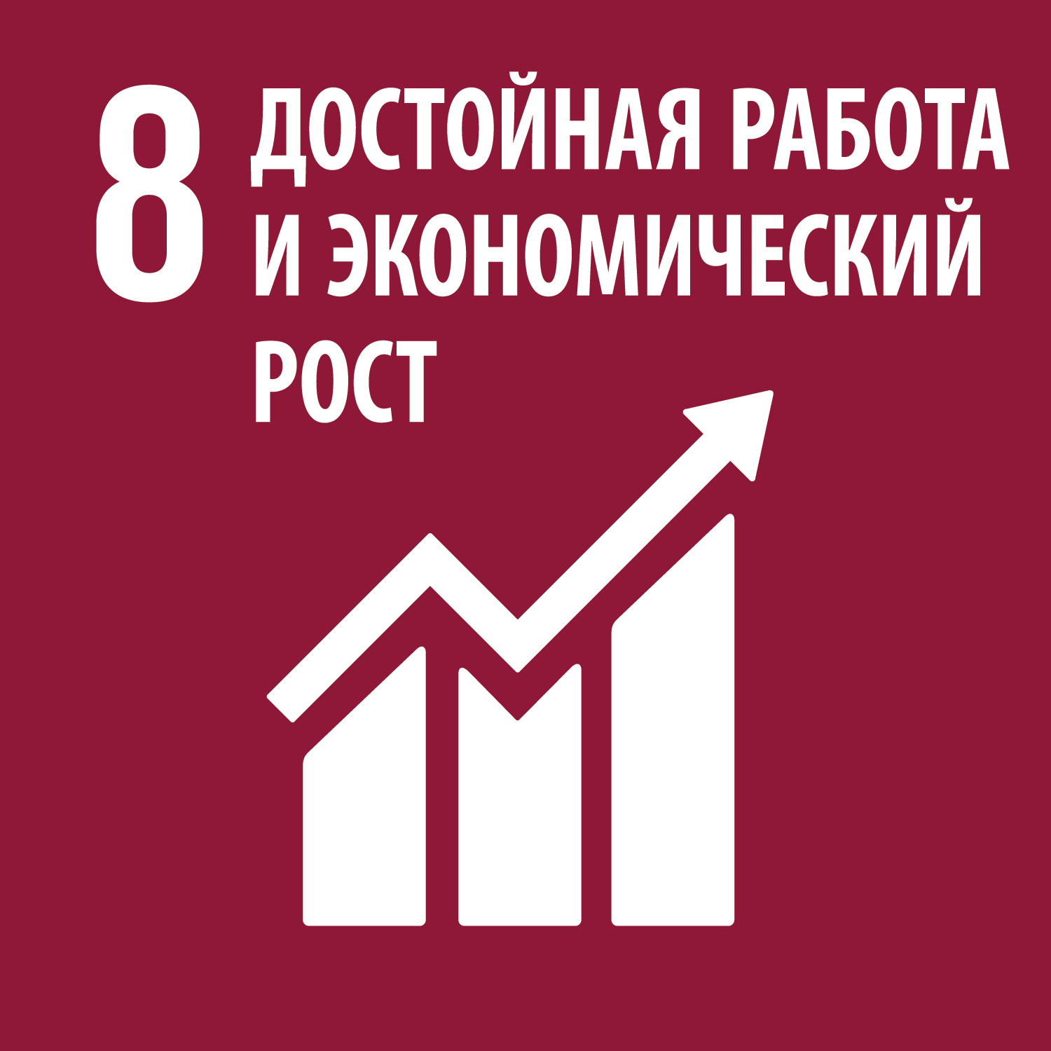 Цель 8: Содействие полной и производительной занятости и достойной работе для всех