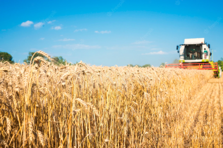 Валовая продукция сельского хозяйства в январе-июне 2010 года