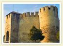Activitatea turistică a agenţiilor de turism şi turoperatorilor din Republica Moldova în ianuarie-iunie 2010