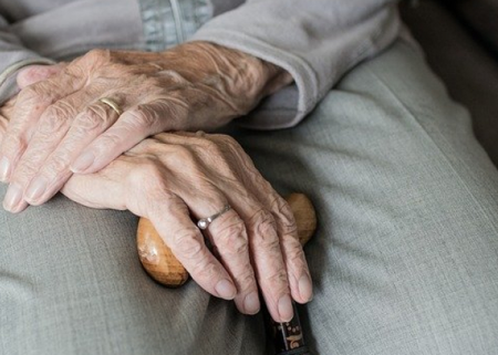 Elderly population in the Republic of Moldova in 2010
