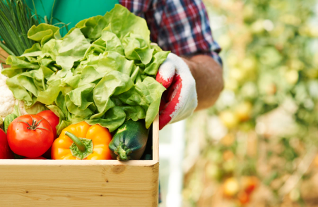 Валовая продукция сельского хозяйства в январе-марте 2019 года