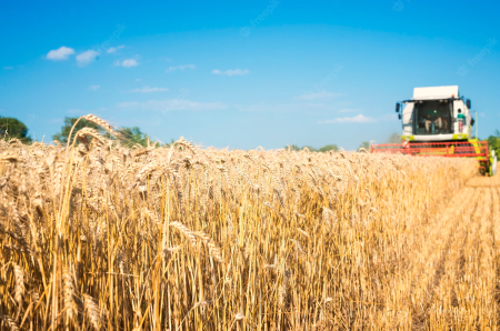 Global agricultural production in January-September 2019