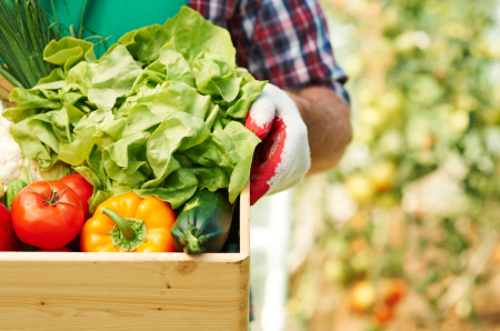Indicele preţurilor producătorului la produsele agricole în ianuarie-martie 2021