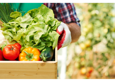 Evoluția preţurilor producătorului la produsele agricole în ianuarie-martie 2022